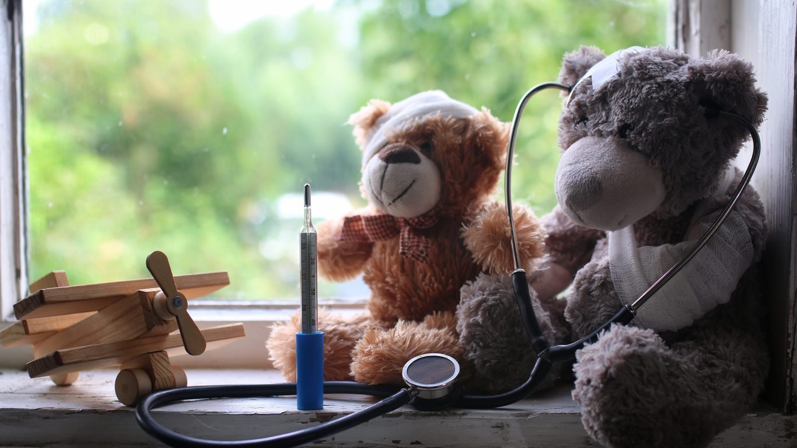 toy disease help toy disease help